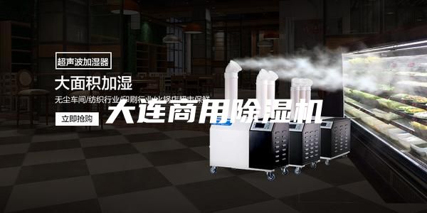大连商用除湿机
