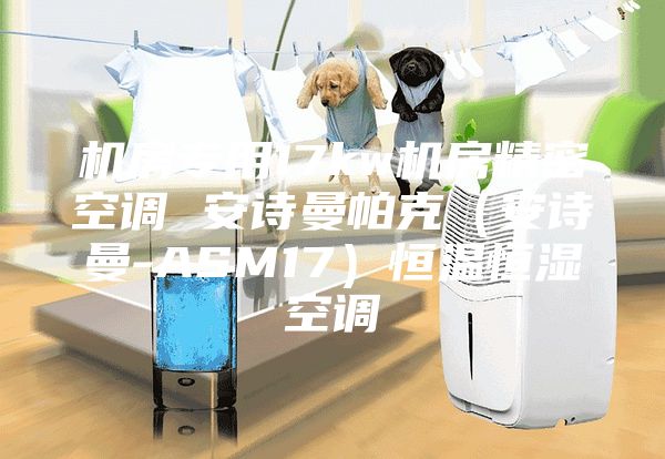 机房专用17kw机房精密空调 安诗曼帕克（安诗曼-ASM17）恒温恒湿空调