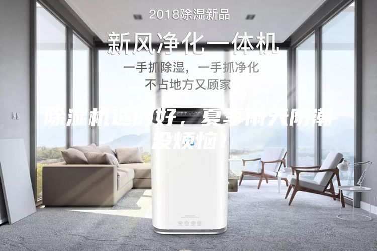 除湿机选的好，夏季雨天防潮没烦恼！