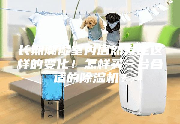 长期潮湿室内居然发生这样的变化！怎样买一台合适的除湿机？