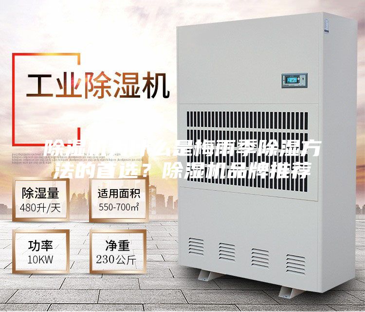除湿机为什么是梅雨季除湿方法的首选？除湿机品牌推荐