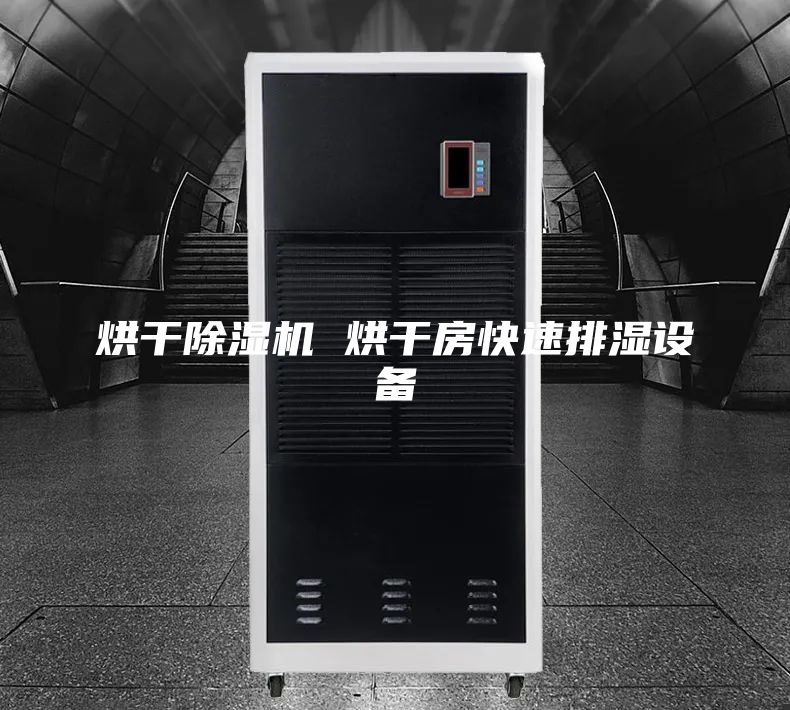 烘干除湿机 烘干房快速排湿设备