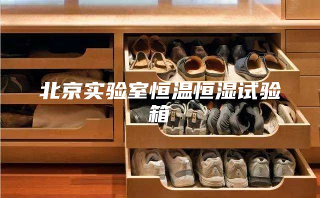 北京实验室恒温恒湿试验箱