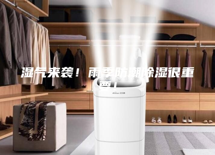 湿气来袭！雨季防潮除湿很重要！