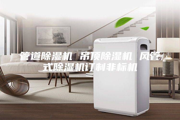 管道除湿机 吊顶除湿机 风管式除湿机订制非标机