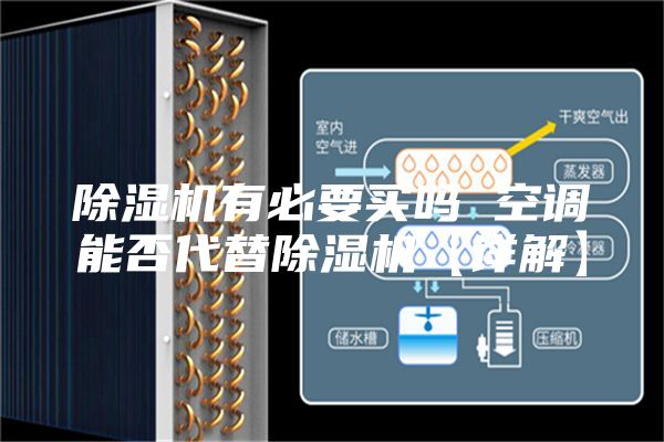 除湿机有必要买吗 空调能否代替除湿机【详解】