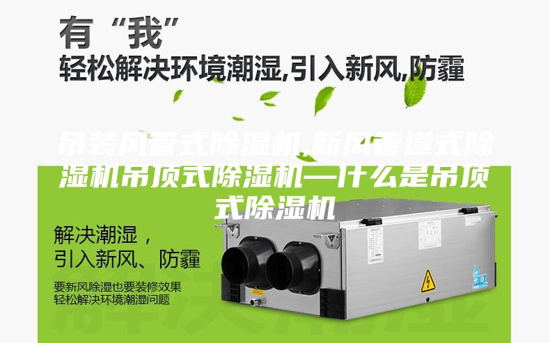 吊装风管式除湿机,新风管道式除湿机吊顶式除湿机—什么是吊顶式除湿机