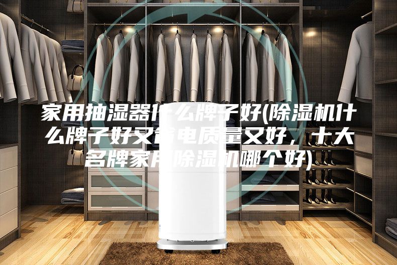 家用抽湿器什么牌子好(除湿机什么牌子好又省电质量又好，十大名牌家用除湿机哪个好)