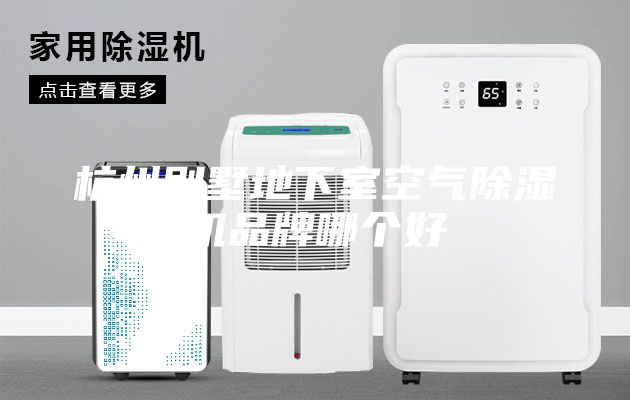 杭州别墅地下室空气除湿机品牌哪个好
