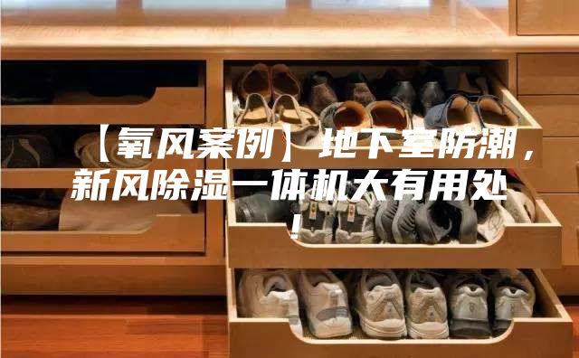 【氧风案例】地下室防潮，新风除湿一体机大有用处！
