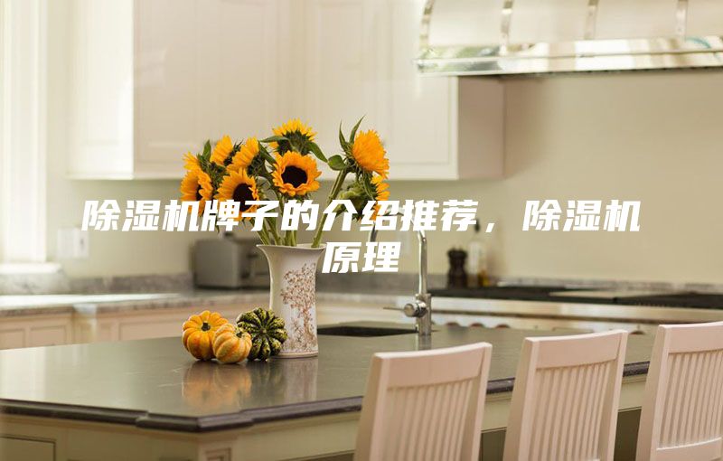 除湿机牌子的介绍推荐，除湿机原理
