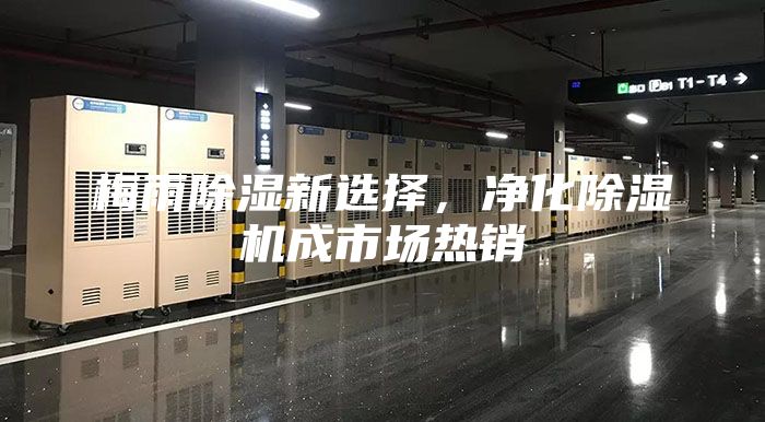 梅雨除湿新选择，净化除湿机成市场热销