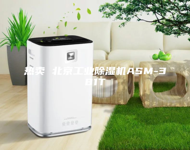 热卖 北京工业除湿机ASM-381T