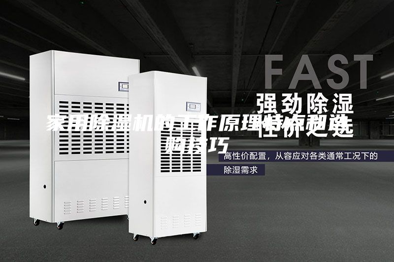 家用除湿机的工作原理特点和选购技巧
