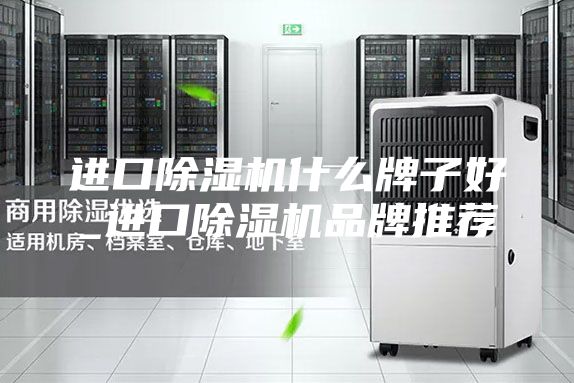 进口除湿机什么牌子好_进口除湿机品牌推荐