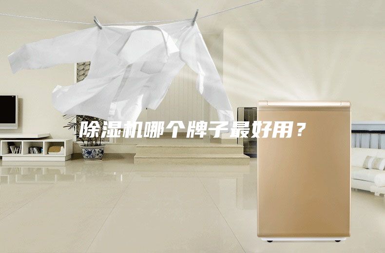 除湿机哪个牌子最好用？
