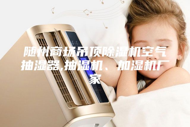 随州商场吊顶除湿机空气抽湿器,抽湿机、加湿机厂家