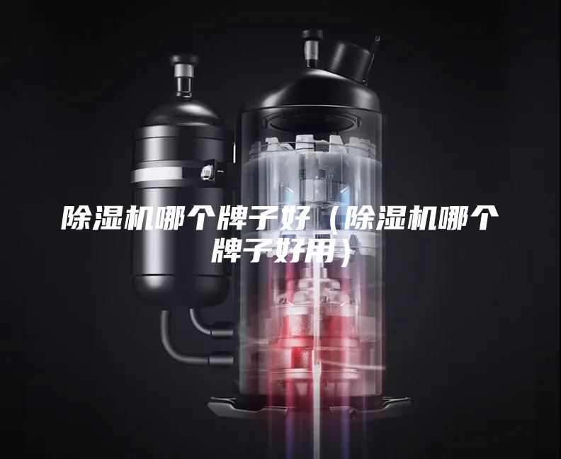 除湿机哪个牌子好（除湿机哪个牌子好用）