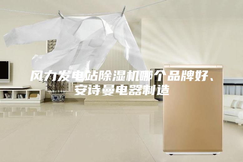风力发电站除湿机哪个品牌好、安诗曼电器制造