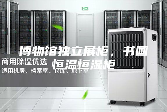 博物馆独立展柜，书画恒温恒湿柜