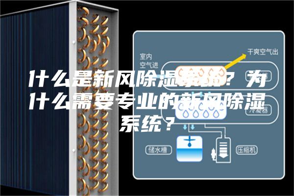 什么是新风除湿系统？为什么需要专业的新风除湿系统？