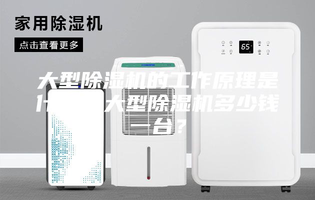 大型除湿机的工作原理是什么？大型除湿机多少钱一台？