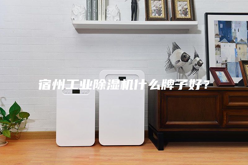 宿州工业除湿机什么牌子好？