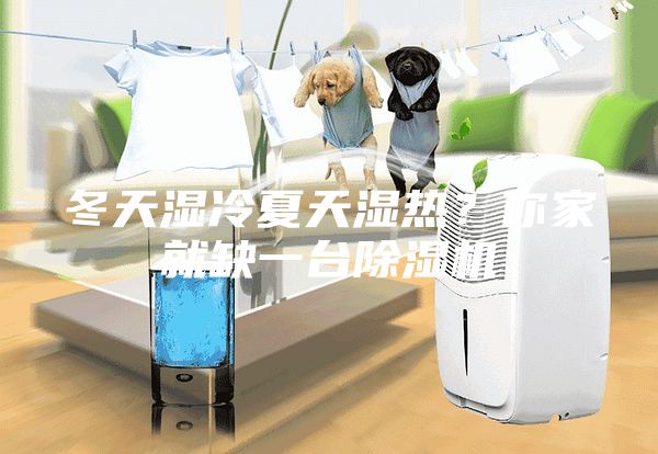 冬天湿冷夏天湿热？你家就缺一台除湿机