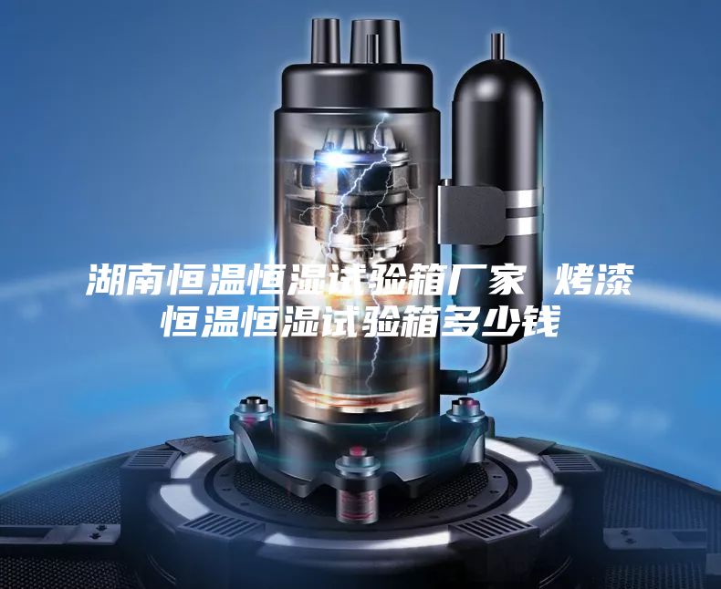 湖南恒温恒湿试验箱厂家 烤漆恒温恒湿试验箱多少钱