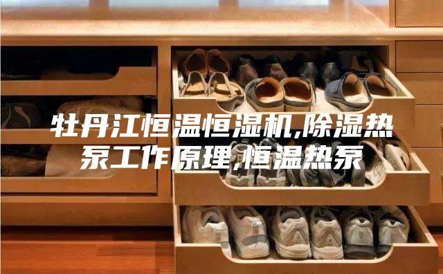 牡丹江恒温恒湿机,除湿热泵工作原理,恒温热泵