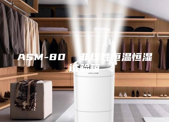 ASM-80  非线性恒温恒湿试验箱