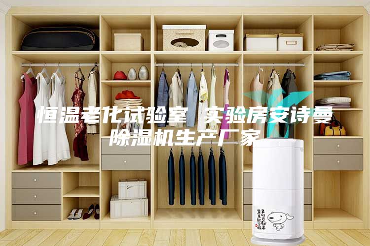 恒温老化试验室 实验房安诗曼除湿机生产厂家