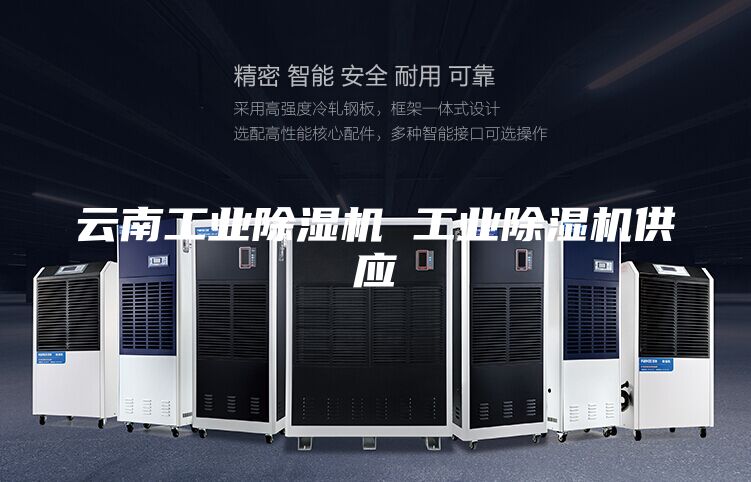 云南工业除湿机 工业除湿机供应