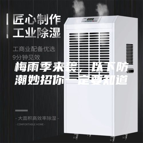 梅雨季来袭，以下防潮妙招你一定要知道