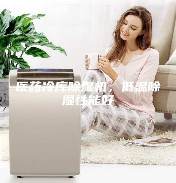 医药冷库除湿机，低温除湿性能好