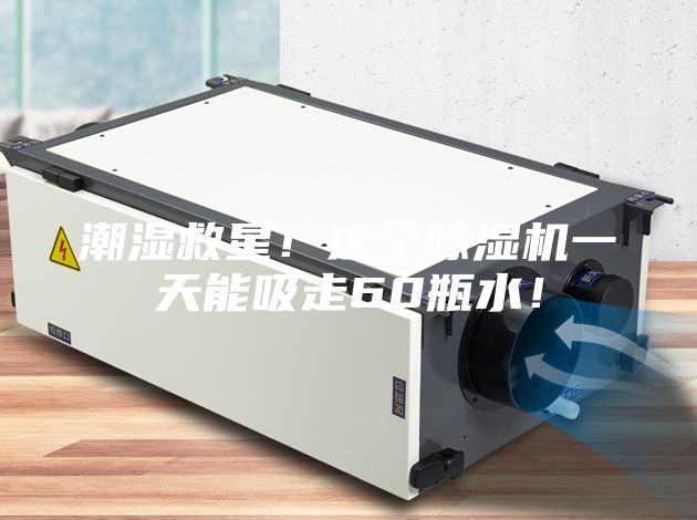 潮湿救星！这个除湿机一天能吸走60瓶水！