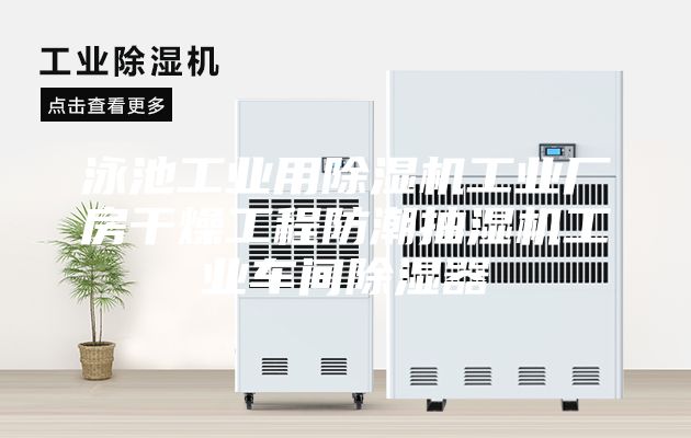 泳池工业用除湿机工业厂房干燥工程防潮抽湿机工业车间除湿器