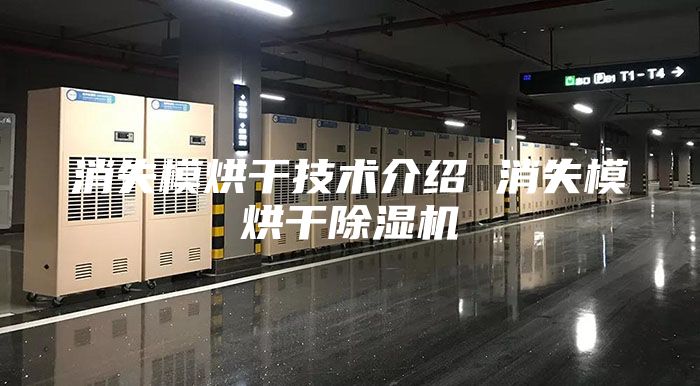 消失模烘干技术介绍 消失模烘干除湿机