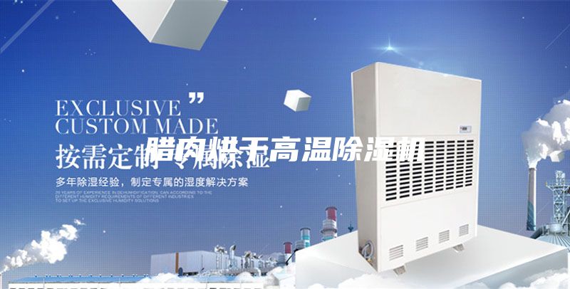 腊肉烘干高温除湿机