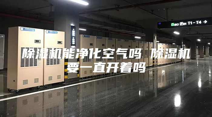 除湿机能净化空气吗 除湿机要一直开着吗