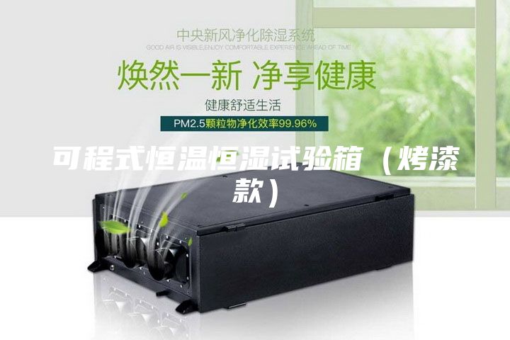 可程式恒温恒湿试验箱（烤漆款）