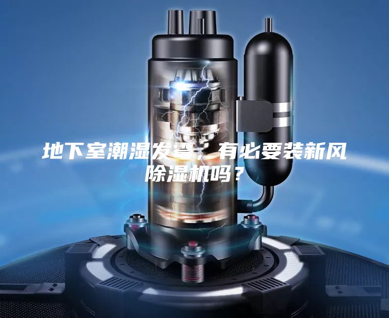 地下室潮湿发霉，有必要装新风除湿机吗？