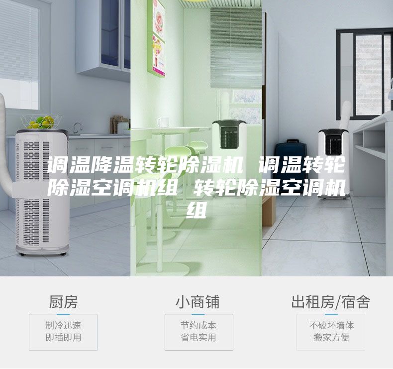 调温降温转轮除湿机 调温转轮除湿空调机组 转轮除湿空调机组