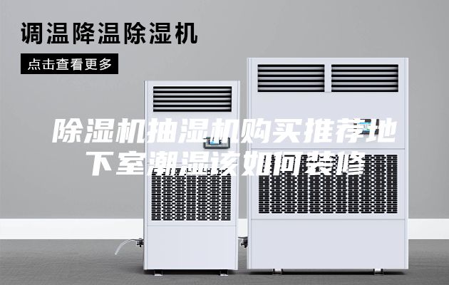 除湿机抽湿机购买推荐地下室潮湿该如何装修