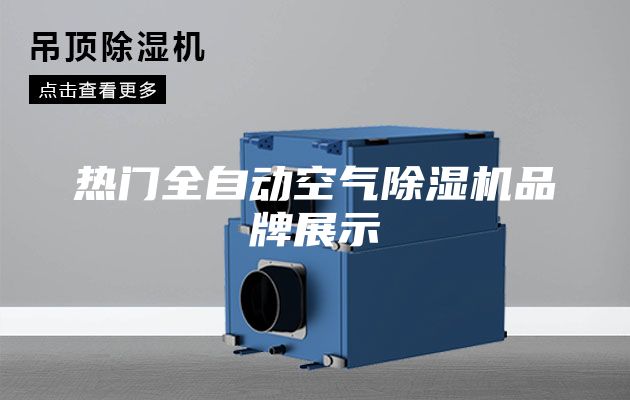 热门全自动空气除湿机品牌展示