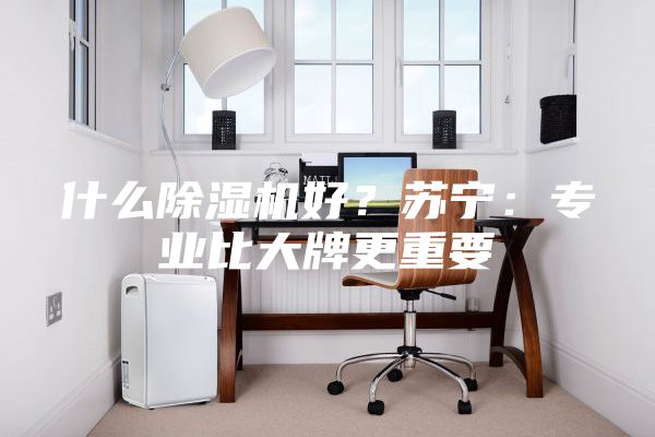 什么除湿机好？苏宁：专业比大牌更重要