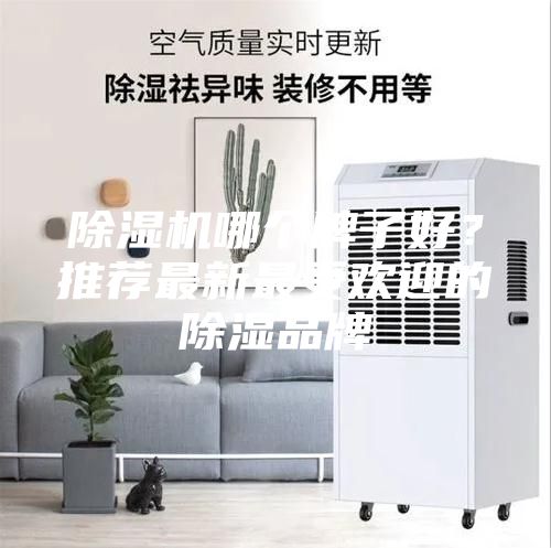 除湿机哪个牌子好？推荐最新最受欢迎的除湿品牌