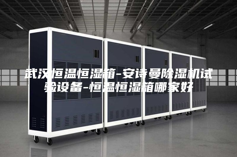 武汉恒温恒湿箱-安诗曼除湿机试验设备-恒温恒湿箱哪家好