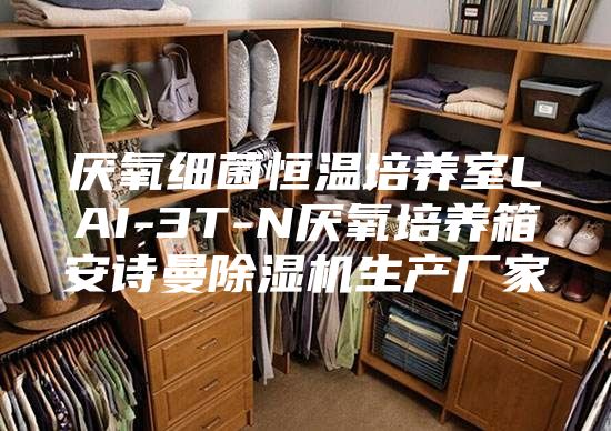 厌氧细菌恒温培养室LAI-3T-N厌氧培养箱安诗曼除湿机生产厂家