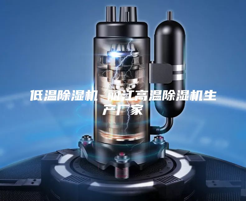 低温除湿机 丽江高温除湿机生产厂家